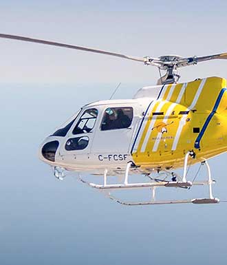 Private Cloud for Leading Canadian Helicopter Company